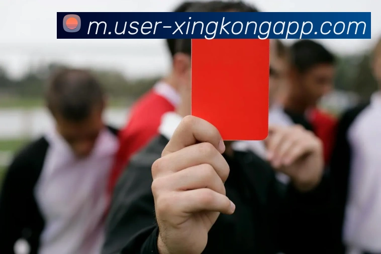 星空体育APP 封面图